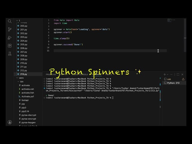 Spinners Are Weirdly Satisfying 🐍✨#coding #python #shorts #spinner #animation
