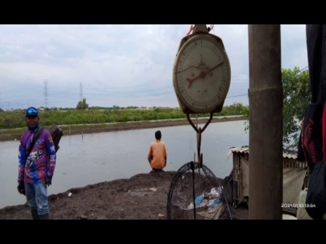 MABAR AWAL TAHUN 2021 KOMUNITAS MANCING JAKARTA UTARA (KOMAJU)