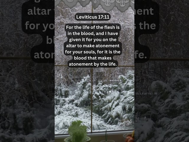 Journey of faith and spiritual growth | Leviticus 17:11 Daily Bible Verse