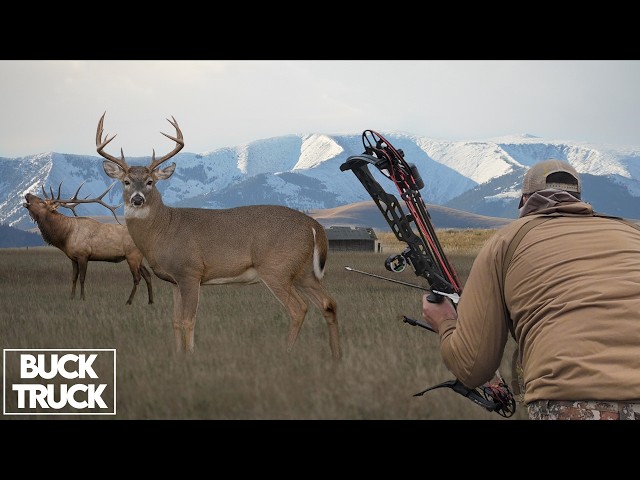 Hunting Public Land Elk and Deer | Montana Buck Truck