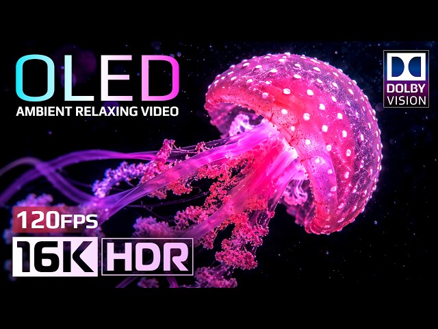 Masterpiece 16K HDR OLED Test | Dolby Vision 120 FPS Video - 4K Video • 8K Ultra HD TV