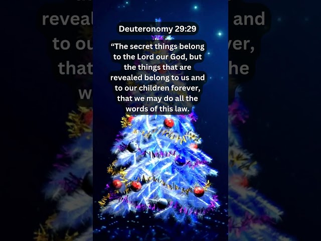 Journey of faith and spiritual growth | Deuteronomy 29:29 Daily Bible Verse