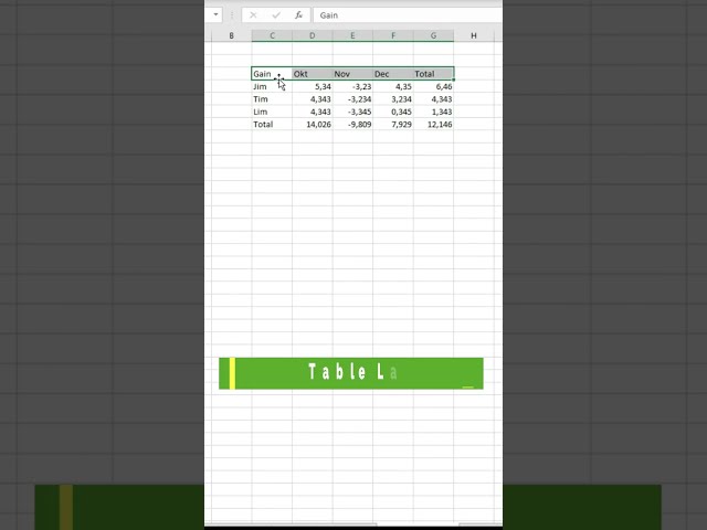 Excel Tip - Easy Way to Adjust Table