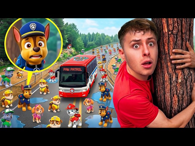 ¿EN SERIO? ¡ENCONTRÉ UN AUTOBÚS DE LA PATRULLA CANINA EN LA VIDA REAL!