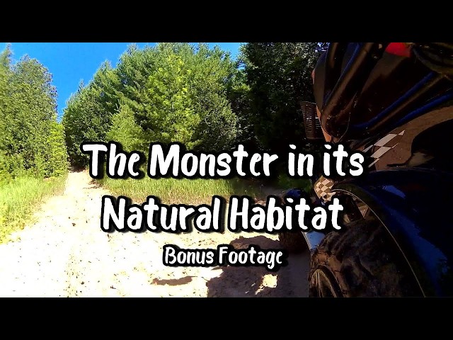 The Monster in its Natural Habitat - Day 1 - Full Daylight Trip (FenderCam) Uncut