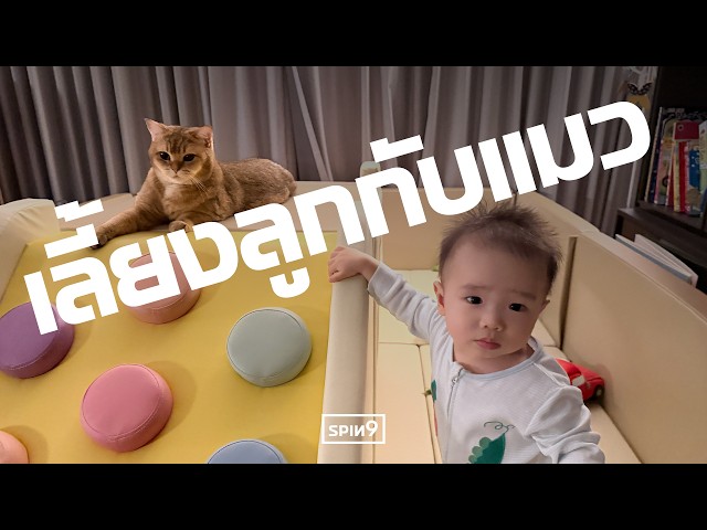 แชร์ประสบการณ์ เลี้ยงลูกกับแมว