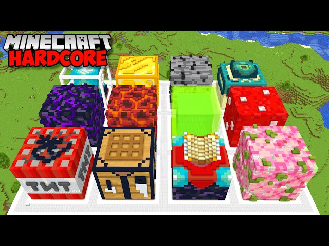 I Built The WORLDS BIGGEST BLOCKS In Minecraft Hardcore