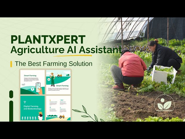 plantxpert Django web application | Agriculture Assistant app | AI & Machine learning |Deep learning