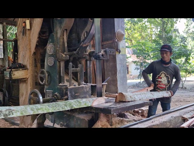 PROFESSIONAL Woodworking Secrets! High Efficiency Sawmill Machine in Action