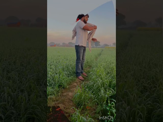 @Theajaymeena86 # #love #viralshort #deshigamer #pushups #automobile #dailyroutine #uppet