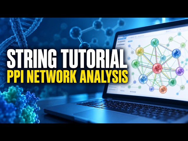 Can You Master Multiple Protein Networks? | Step-by-Step
