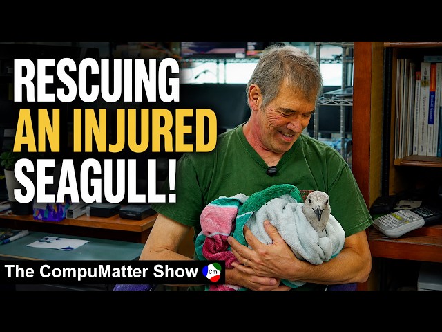 CompuMatter Owner Saves Seagull From Certain Death