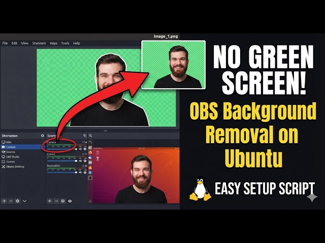NO GREEN SCREEN! OBS Background Removal on Ubuntu (Easy Plugin & Script)