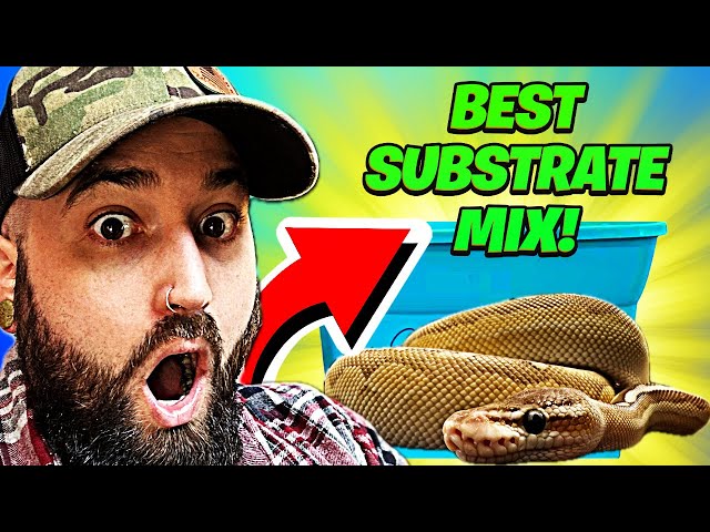 The BEST Substrate Mix for Ball Pythons & Boas! | The Ultimate Substrate!