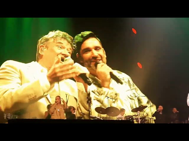 Metejoor concert Sportpaleis 2025