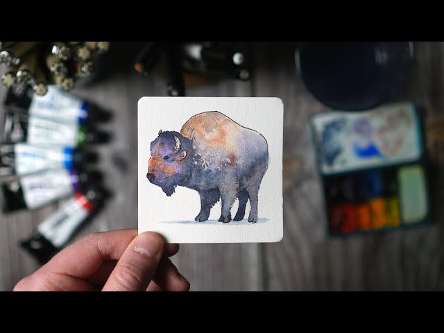 American Bison | Backyard Animals Watercolor Series
