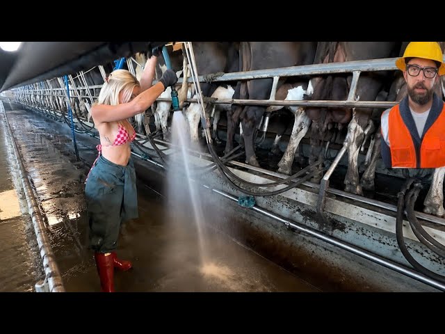 Unbelievable construction skill by smart workers | compilation (6) #construction #adamrose 