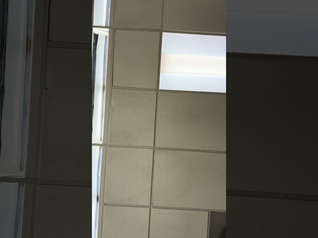 Nov 6 O2 & CO2 trans. cont. /control of respiration