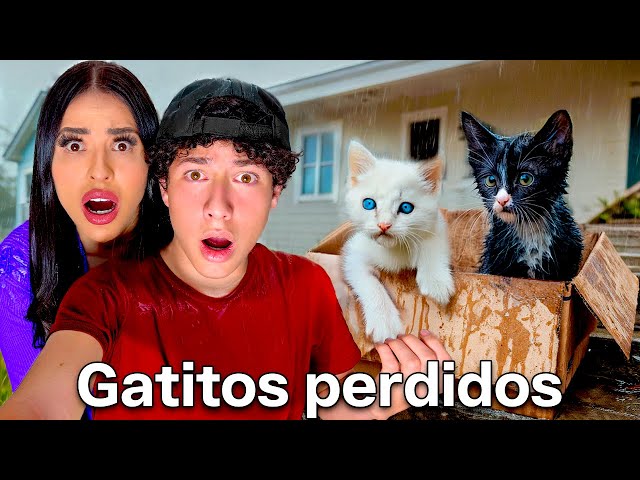 I FOUND KITTENS ON OUR DOOR 🥺