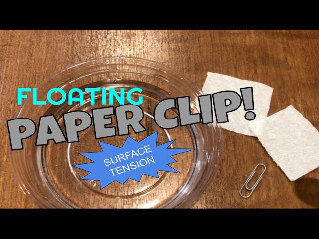 Floating Paper Clip (Surface tension) Experiment