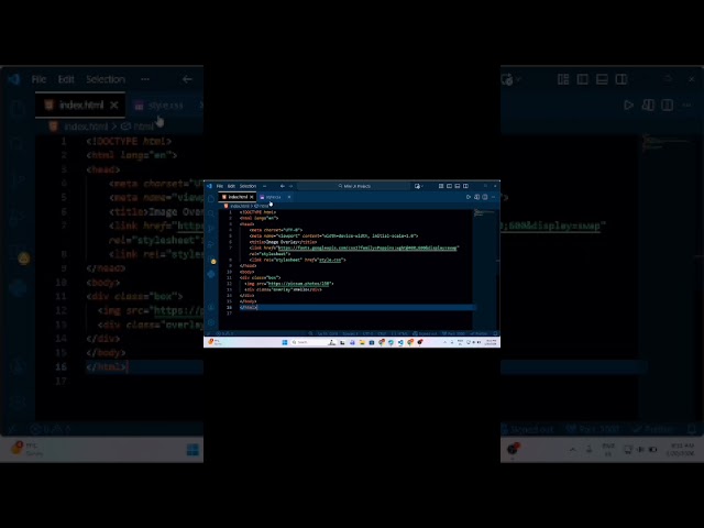 Image Hover Overlay using CSS ✨ #shorts
