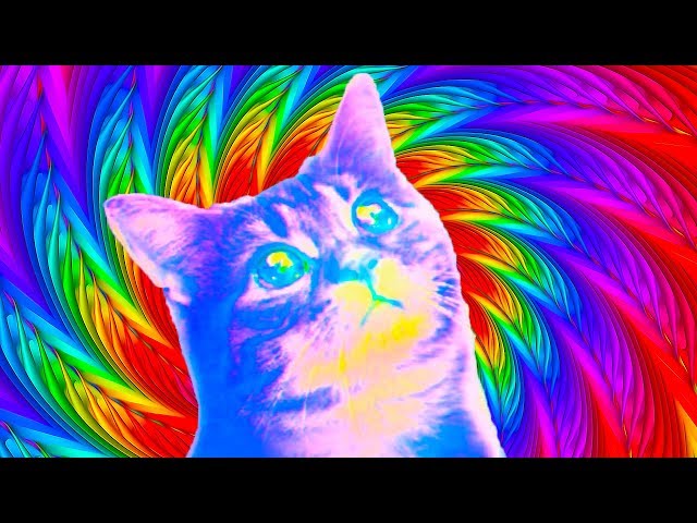 PUSS! Full Game