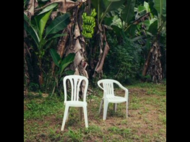 EoO - BAD BUNNY