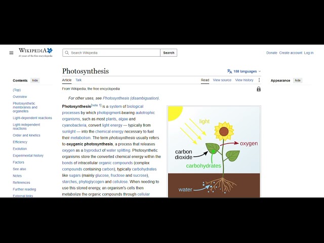 StudyMate AI Live Demo
