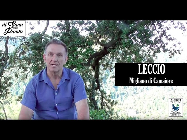 LECCIO