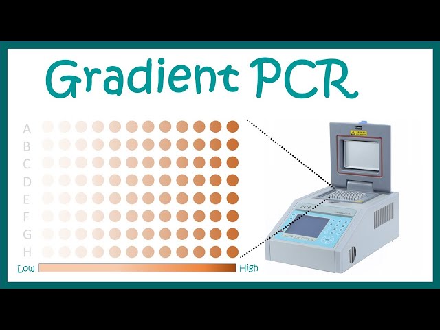 Gradient PCR