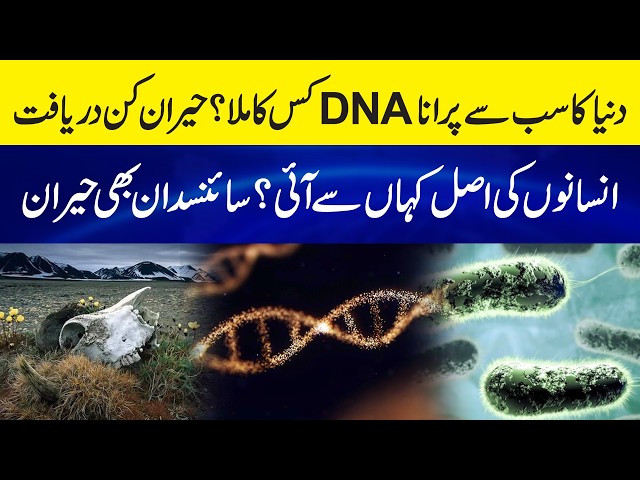 What Is DNA? The Oldest DNA Ever Found - Ancient DNA Unlocks the Secrets of Human Evolution
