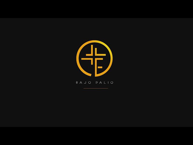 Under Canopy (6-11-25)