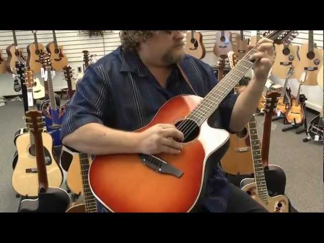 Ovation CC245HB Celebrity 12 String Acoustic Electric Guitar (Honey Burst) | Jim Laabs Music