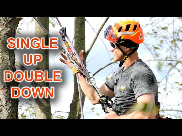 Tree Climber Techniques: Single Up, Double Down w/Chris