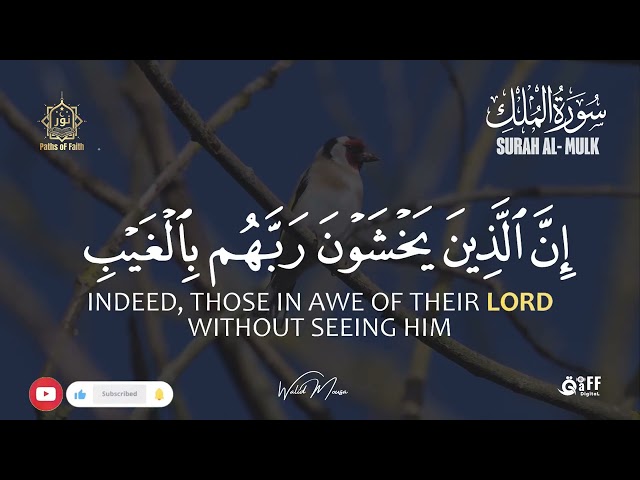 Surah Al-Mulk | Calming Quran Before Sleep for Protection, Tranquility and Lasting Barakah