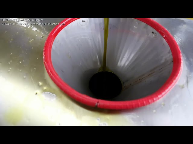 CPAO 500 Extra Virgin Avocado Oil Extraction Machine