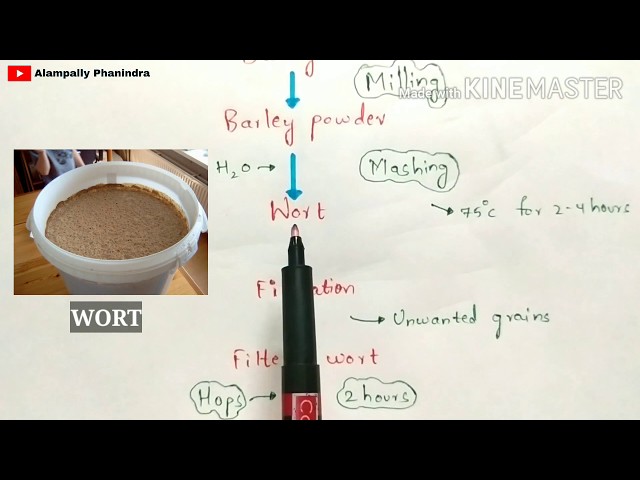 Preperation of Beer | Production of Beer by fermentation | Alcohol production by fermentation