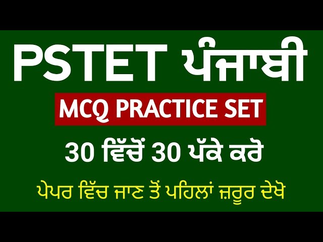PSTET 2024 Punjabi | Paper 1 | Paper 2 | Punjabi By Study Fighters | pstet punjabi pedagogy