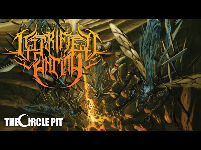 VITRIFIED ENTITY - Eternal Vitreous Dissolve (Full album stream MAM Visualiser) Tech Death