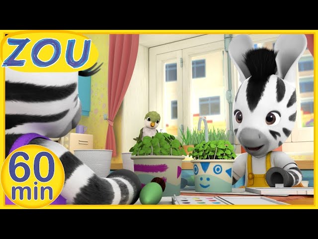 Zou en español 🌻 ZOU DESCUBRE LA NATURALEZA🌿 60 min RECOPILACIÓN | Dibujos animados