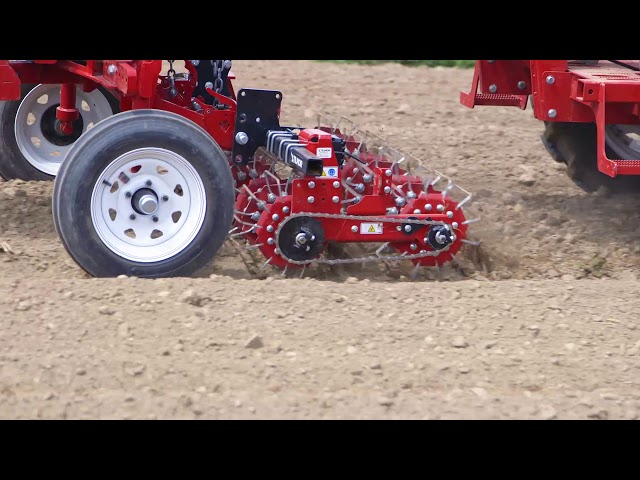 Tilmor Basket Weeder and Tine Weeder Duo