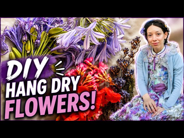 Ingenious DIY Flower Drying Hack! 🌸 Easy Hang Drying Method (LIVE) #flowers #preservation #meow