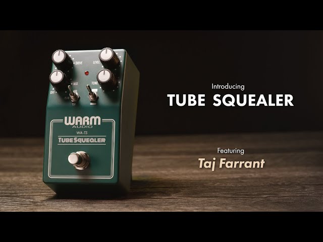 Introducing Tube Squealer | Faithful Recreation Of 3 Screaming Overdrives With Rig-Ready Features