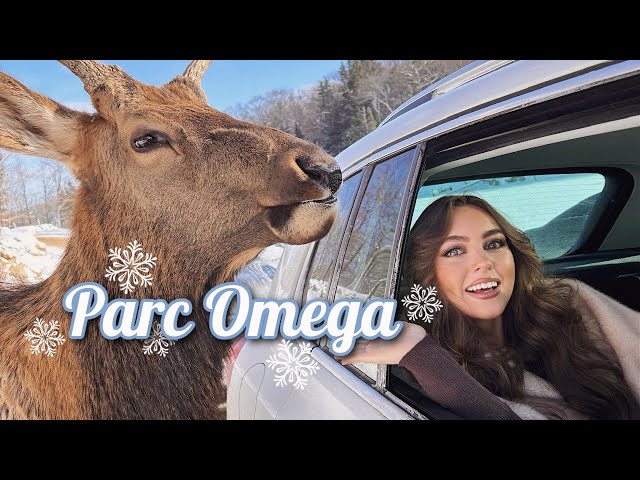 EMBRACING THE COLD❄️ Parc Omega Vlog in Quebec, Canada🦌