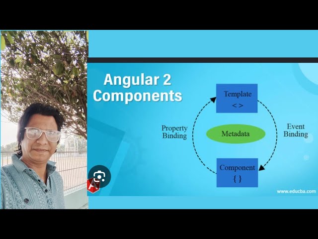 WHAT IS ANGULAR  COMPONENTS  SOFTWARE LECTURE SERIES