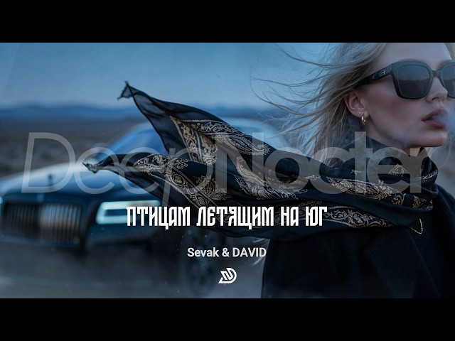 Sevak & DAVID - Птицам летящим на юг🎧 Deep Nocter Remix · Desert Soul