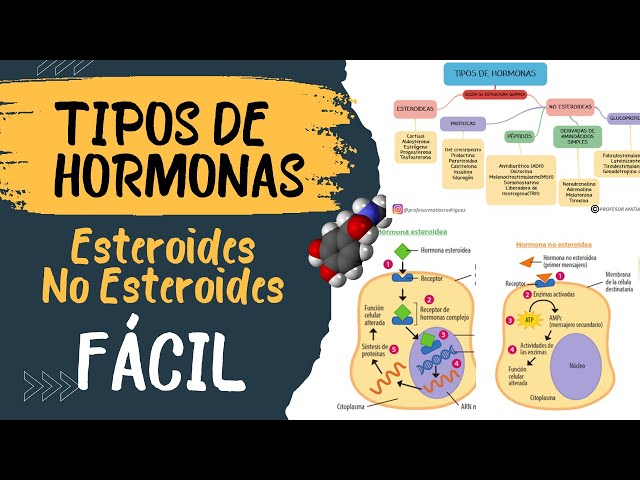 🧬 TYPES OF HORMONES ❌ (differences) | Steroid and non-steroidal