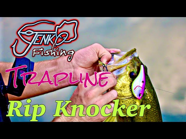 Jenko Fishing Trapline Rip Knocker Review
