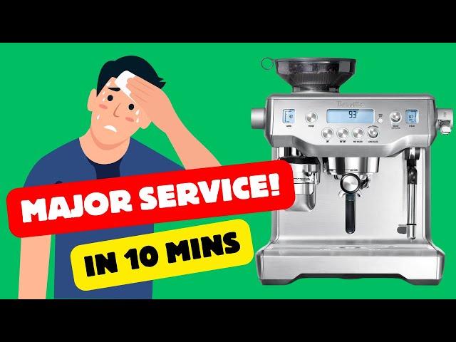 Full Oracle BES980 Service Guide — Seals, Pumps & Solenoids Replaced