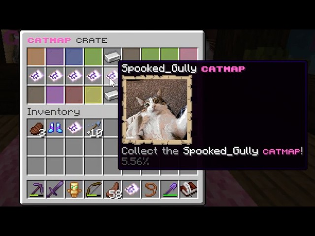 "Bro your cat doesn't own a Minecraft server"